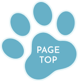 page-top
