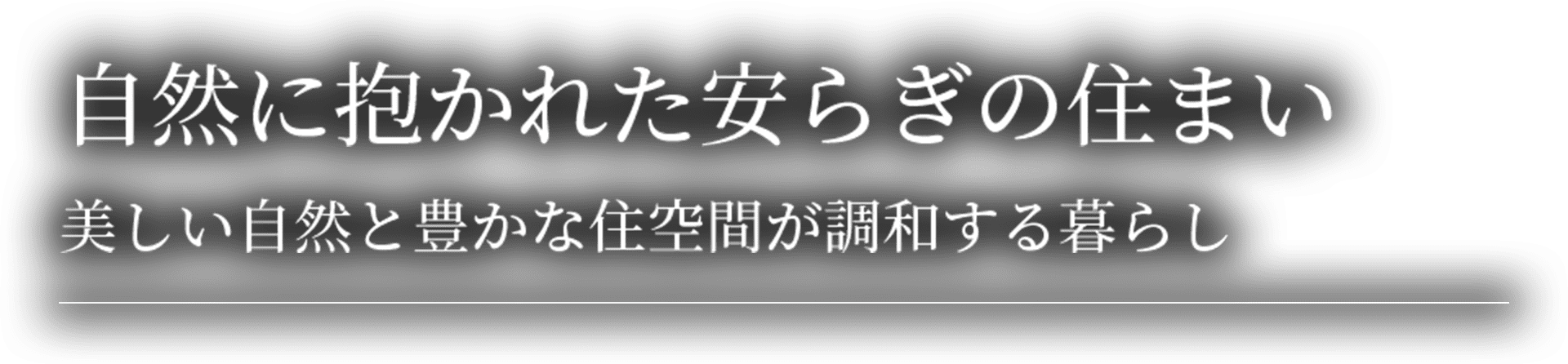 画像とテキストです